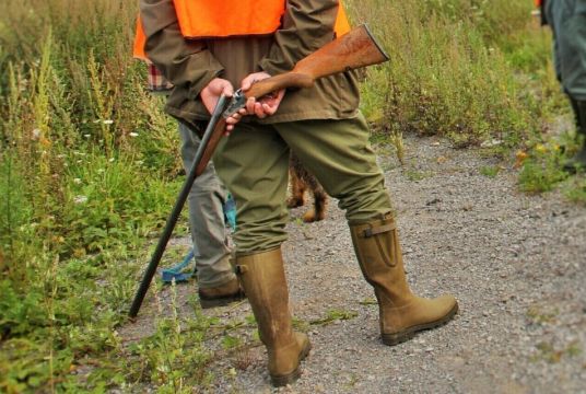 Battues de chasse